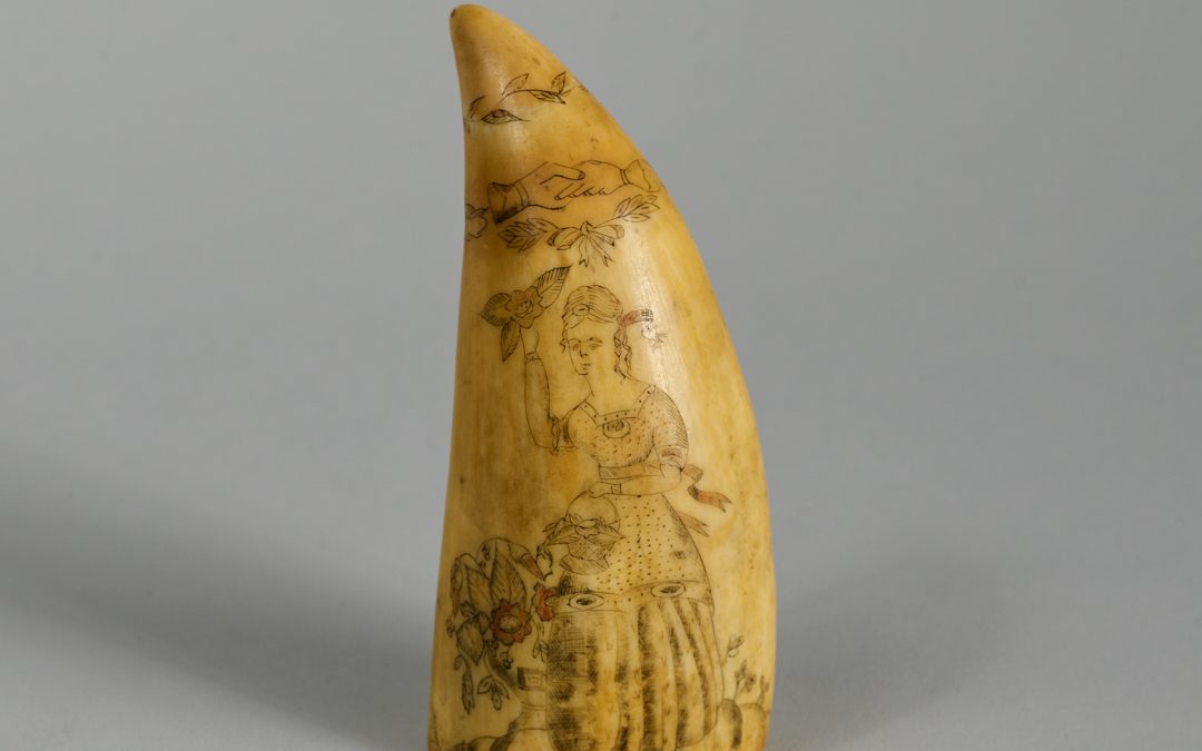 Scrimshaw Whale Tooth