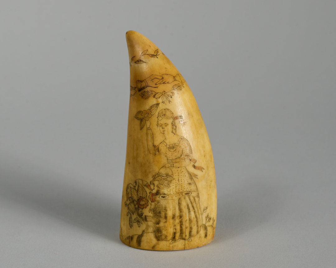 Scrimshaw Whale Tooth